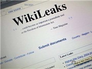 Bóng đá anh, ngoại hạng anh, lịch thi đấu euro 2012, WikiLeaks vừa tung “tài liệu mật” đã bị đánh sập