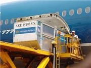 Bóng đá anh, ngoại hạng anh, lịch thi đấu euro 2012, Hàng nhập khẩu dưới 1 triệu đồng sẽ được miễn thuế