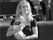 Bóng đá anh, ngoại hạng anh, lịch thi đấu euro 2012, Reese Witherspoon được gắn sao trên Đại lộ danh tiếng 