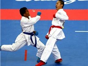 Bóng đá anh, ngoại hạng anh, lịch thi đấu euro 2012, Indonesia thưởng 5 triệu USD cho các VĐV đạt thành tích cao ở ASIAD 16