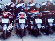 Bóng đá anh, ngoại hạng anh, lịch thi đấu euro 2012, Triệt phá đường dây trộm cắp, tiêu thụ xe gian