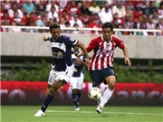 Bóng đá anh, ngoại hạng anh, lịch thi đấu euro 2012, Estudiantes gần chạm tay vào Cúp