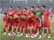 Bóng đá anh, ngoại hạng anh, lịch thi đấu euro 2012, Giá trị chuyển nhượng của ĐTVN: 7 triệu USD để làm gì?