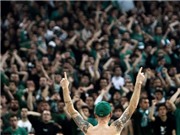 Bóng đá anh, ngoại hạng anh, lịch thi đấu euro 2012, Thua trận, Panathinaikos bị CĐV nhà truy đuổi 