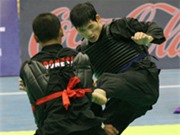 Bóng đá anh, ngoại hạng anh, lịch thi đấu euro 2012, Việt Nam vô địch Giải Pencak Silat thế giới 2010