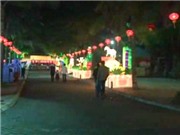 Bóng đá anh, ngoại hạng anh, lịch thi đấu euro 2012, Lần đầu tiên triển lãm hoa đăng tại Hà Nội