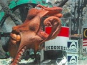 Bóng đá anh, ngoại hạng anh, lịch thi đấu euro 2012, Bạch tuộc dự đoán Indonesia vô địch AFF Cup