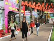 Bóng đá anh, ngoại hạng anh, lịch thi đấu euro 2012,  Tây đón “Tết tây” tại Việt Nam