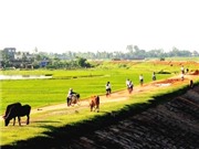 Bóng đá anh, ngoại hạng anh, lịch thi đấu euro 2012,  Đê Việt Nam xứng đáng là di sản nhân loại!