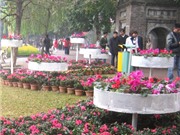 Bóng đá anh, ngoại hạng anh, lịch thi đấu euro 2012, Lễ hội Xuân Hà Nội: Mãn nhãn với hoa và hội