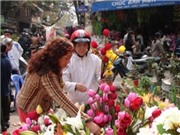 Bóng đá anh, ngoại hạng anh, lịch thi đấu euro 2012, Hoa tươi "ngủ đông", thị trường hoa giả đắt hàng