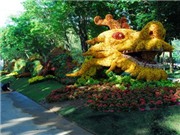 Bóng đá anh, ngoại hạng anh, lịch thi đấu euro 2012, TP. Hồ Chí Minh khai mạc Hội hoa Xuân Tân Mão 