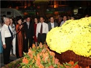 Bóng đá anh, ngoại hạng anh, lịch thi đấu euro 2012, Khai mạc Đường hoa Nguyễn Huệ, Lễ hội Tết Tân Mão