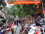 Bóng đá anh, ngoại hạng anh, lịch thi đấu euro 2012, Ngắm phố hoa rực rỡ trong nắng xuân
