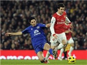 Bóng đá anh, ngoại hạng anh, lịch thi đấu euro 2012, Chelsea muốn có Fabregas: Cuộc cách mạng Xanh