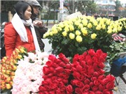 Bóng đá anh, ngoại hạng anh, lịch thi đấu euro 2012, Lễ Tình yêu thời đắt đỏ