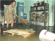 Bóng đá anh, ngoại hạng anh, lịch thi đấu euro 2012, Kè sông ngăn triều gây ngập nặng hơn?