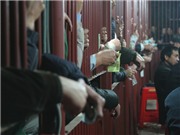 Bóng đá anh, ngoại hạng anh, lịch thi đấu euro 2012, Hội Đền Trần - việc hành chính thành chỗ cầu quan!?