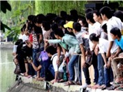 Bóng đá anh, ngoại hạng anh, lịch thi đấu euro 2012, Chuyện "cụ" rùa: Đừng "thực tế hóa" truyền thuyết