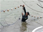 Bóng đá anh, ngoại hạng anh, lịch thi đấu euro 2012, Tăng cường 20 chiến sĩ đặc công tham gia bắt rùa Hồ Gươm  