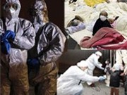 Bóng đá anh, ngoại hạng anh, lịch thi đấu euro 2012, Chùm ảnh về nỗi lo phóng xạ bao trùm Nhật Bản