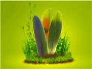 Bóng đá anh, ngoại hạng anh, lịch thi đấu euro 2012, Youtube “cải tổ” chất lượng hình ảnh video