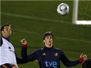 Bóng đá anh, ngoại hạng anh, lịch thi đấu euro 2012,   Fernando Torres, người cô độc nhất: Đi về đâu, El Nino?