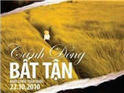 Bóng đá anh, ngoại hạng anh, lịch thi đấu euro 2012, "Cánh đồng bất tận" tràn ngập đĩa lậu