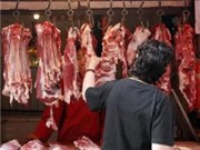 Bóng đá anh, ngoại hạng anh, lịch thi đấu euro 2012, Trung Quốc ngăn chặn phụ gia độc hại trong thức ăn nuôi lợn 