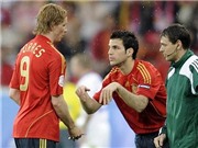 Bóng đá anh, ngoại hạng anh, lịch thi đấu euro 2012, Torres: "Fabregas không hợp với Barca"