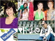 Bóng đá anh, ngoại hạng anh, lịch thi đấu euro 2012, Khi sao Việt thành "trò đùa" của mạng xã hội