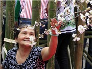 Bóng đá anh, ngoại hạng anh, lịch thi đấu euro 2012, Hoa anh đào "vượt sóng thần, động đất" đến Việt Nam