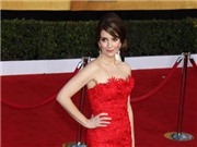 Bóng đá anh, ngoại hạng anh, lịch thi đấu euro 2012, Tina Fey thất vọng vì không thể nuôi con bằng sữa mẹ