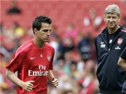 Bóng đá anh, ngoại hạng anh, lịch thi đấu euro 2012, Fabregas: Nếu ở Liga, Wenger đã bị sa thải