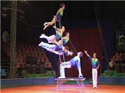 Bóng đá anh, ngoại hạng anh, lịch thi đấu euro 2012, Nghệ sĩ muốn được... về hưu sớm