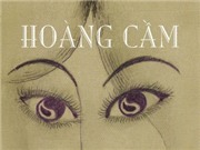 Bóng đá anh, ngoại hạng anh, lịch thi đấu euro 2012, “Thơ Hoàng Cầm” đâu chỉ quanh quẩn với "Lá Diêu Bông"