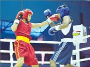 Bóng đá anh, ngoại hạng anh, lịch thi đấu euro 2012, Nữ Việt Nam đoạt HCV quyền anh thế giới