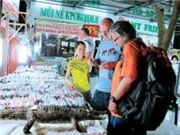 Bóng đá anh, ngoại hạng anh, lịch thi đấu euro 2012, “Thủ đô resort” thay sắc (Bài 1)