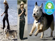 Bóng đá anh, ngoại hạng anh, lịch thi đấu euro 2012, Jennifer Aniston chi triệu đô mua nhà cho… chó