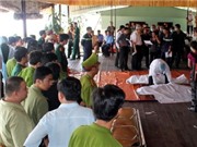 Bóng đá anh, ngoại hạng anh, lịch thi đấu euro 2012, Người vận hành tàu Dìn Ký không có bằng lái tàu