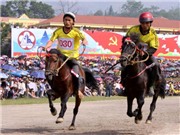 Bóng đá anh, ngoại hạng anh, lịch thi đấu euro 2012, Lên Bắc Hà xem đua ngựa… thồ