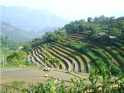 Bóng đá anh, ngoại hạng anh, lịch thi đấu euro 2012, Say tình ở Si Ma Cai