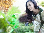 Bóng đá anh, ngoại hạng anh, lịch thi đấu euro 2012, Trương Bá Chi rạng rỡ bên Kwon Sang Woo