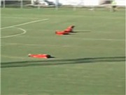 Bóng đá anh, ngoại hạng anh, lịch thi đấu euro 2012, Ong bất ngờ "oanh tạc" một trận đấu bóng đá