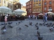 Bóng đá anh, ngoại hạng anh, lịch thi đấu euro 2012, Lặng lẽ thành cổ Warszawa