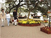 Bóng đá anh, ngoại hạng anh, lịch thi đấu euro 2012, Quanh Hồ Gươm - nên là phố đi bộ vĩnh viễn
