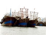 Bóng đá anh, ngoại hạng anh, lịch thi đấu euro 2012, Xây dựng lực lượng kiểm ngư hỗ trợ ngư dân