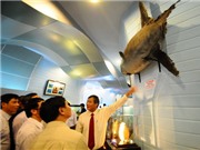 Bóng đá anh, ngoại hạng anh, lịch thi đấu euro 2012, Trưng bày tài nguyên biển Hoàng Sa - Trường Sa