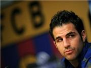 Bóng đá anh, ngoại hạng anh, lịch thi đấu euro 2012, Arsenal đồng ý nói chuyện về Cesc!