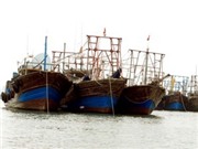 Bóng đá anh, ngoại hạng anh, lịch thi đấu euro 2012, Ủng hộ lương lập Quỹ hỗ trợ ngư dân